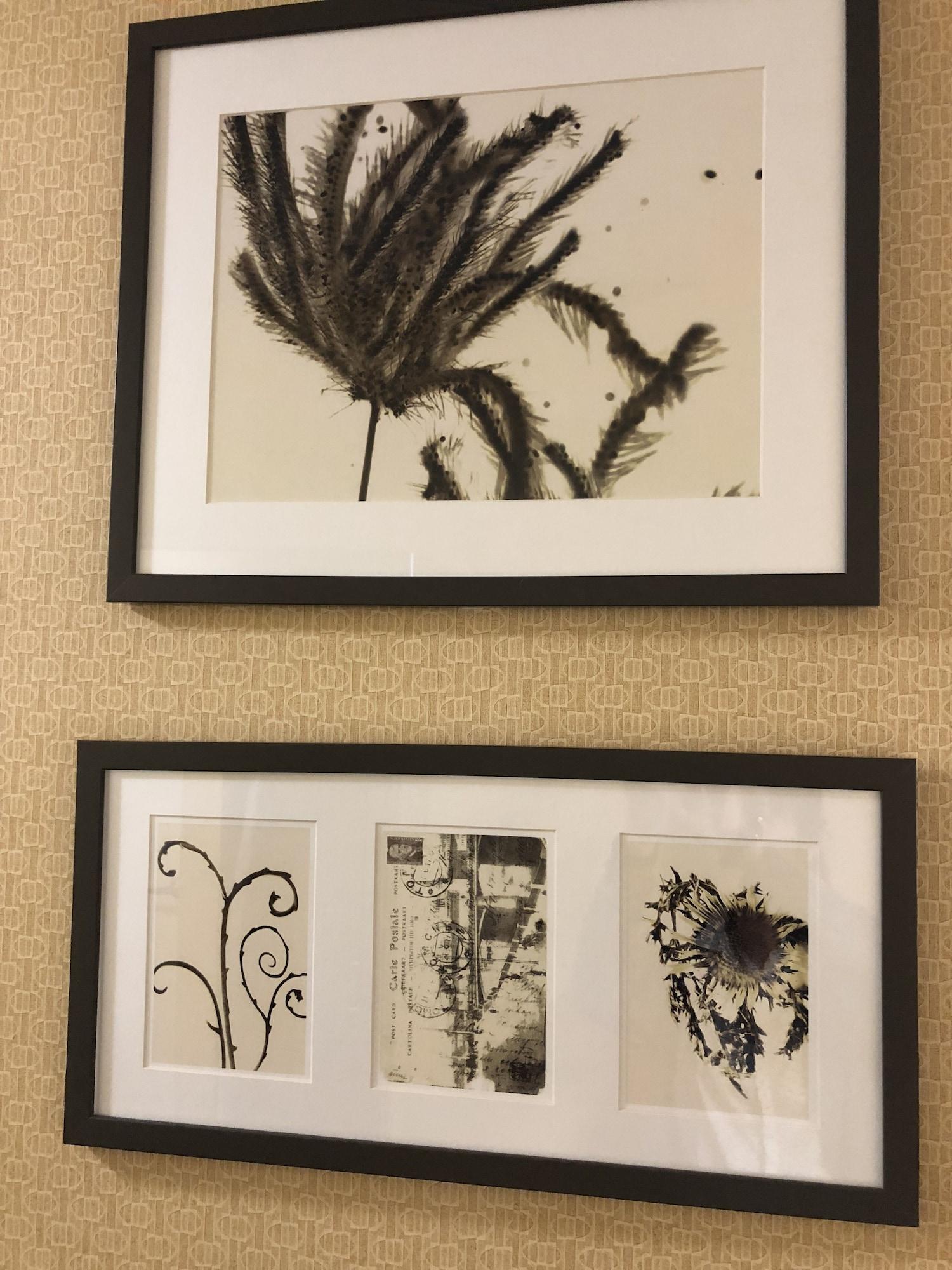 Country Inn & Suites By Radisson, San Jose International Airport, Ca מראה חיצוני תמונה